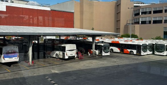 Representante Rodolfo “Rody” Rodríguez fortalece gestión en transporte público tras reunión con MiBus