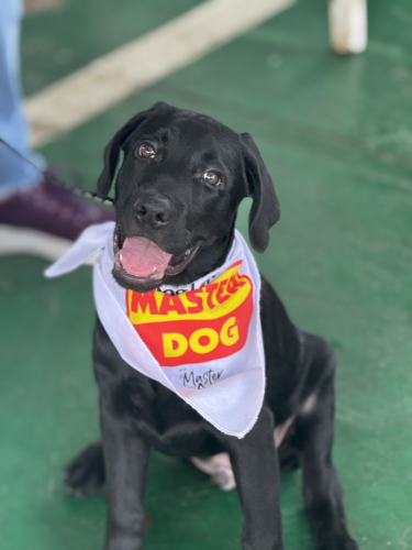 10-06-2025 12-34-36 P. M.