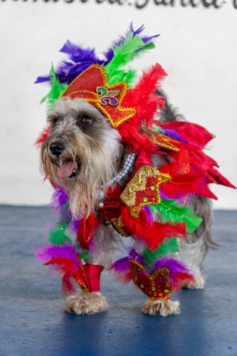 10-06-2025 12-35-33 P. M._1