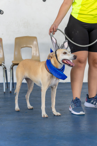 10-06-2025 12-35-34 P. M.