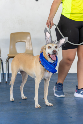 10-06-2025 12-35-35 P. M.