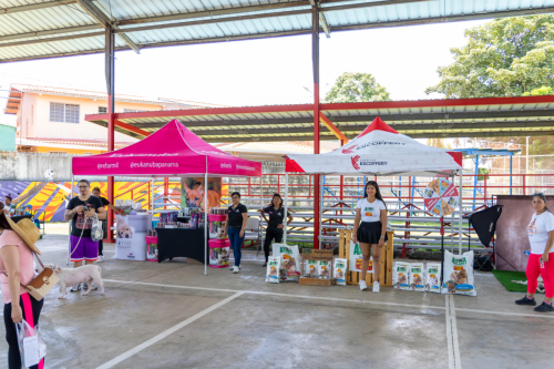 10-06-2025 12-35-36 P. M.