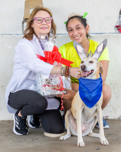 10-06-2025 12-35-42 P. M._1