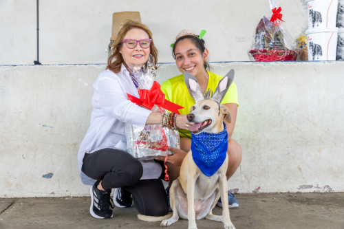 10-06-2025 12-35-43 P. M.