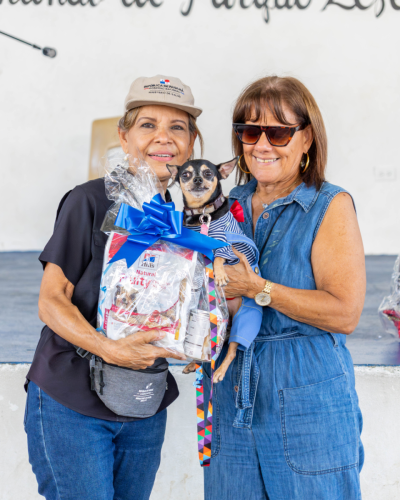 10-06-2025 12-35-44 P. M.