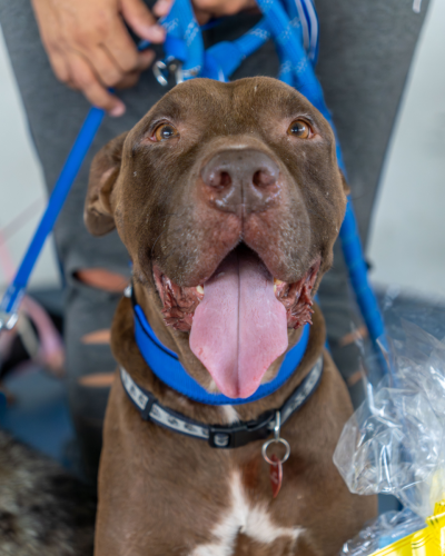 10-06-2025 12-35-49 P. M.